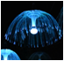 湖南水母燈